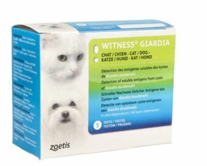 WITNESS GIARDIA Diagnostik Schnelltest vet.
